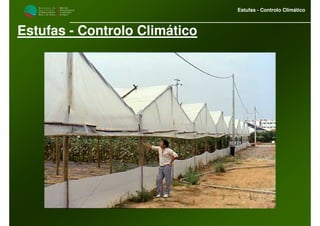 M i n i s t é r i o d a
A g r i c u l t u r a ,
do Desenvolvimento
Rural e das Pescas
DRAALG
Direcção Regional
de Agricultura
do Algarve
Estufas - Controlo Climático
Estufas - Controlo Climático
 
