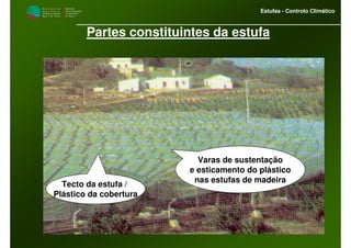 M i n i s t é r i o d a
A g r i c u l t u r a ,
do Desenvolvimento
Rural e das Pescas
DRAALG
Direcção Regional
de Agricultura
do Algarve
Estufas - Controlo Climático
Partes constituintes da estufa
Tecto da estufa /
Plástico da cobertura
Varas de sustentação
e esticamento do plástico
nas estufas de madeira
 