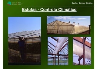 M i n i s t é r i o d a
A g r i c u l t u r a ,
do Desenvolvimento
Rural e das Pescas
DRAALG
Direcção Regional
de Agricultura
do Algarve
Estufas - Controlo Climático
Estufas - Controlo Climático
 