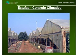 M i n i s t é r i o d a
A g r i c u l t u r a ,
do Desenvolvimento
Rural e das Pescas
DRAALG
Direcção Regional
de Agricultura
do Algarve
Estufas - Controlo Climático
Estufas - Controlo Climático
 