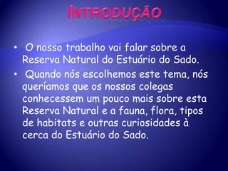 Introdução O nosso trabalho vai falar sobre a Reserva Natural do Estuário do Sado.