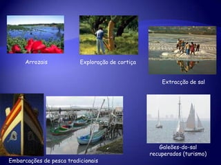 linguadoRaia-riscadaLinguado