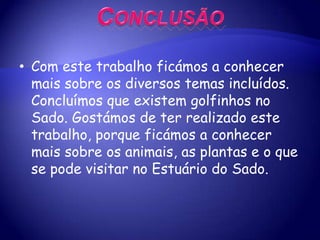 FaunaCrustáceos camarão 