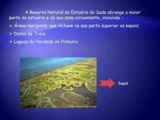  Quando nós escolhemos este tema, nós queríamos que os nossos colegas conhecessem um pouco mais sobre esta Reserva Natural e a fauna, flora, tipos de habitats e outras curiosidades à cerca do Estuário do Sado.	A Reserva Natural do Estuário do Sado abrange a maior parte do estuário e da sua zona circundante, incluindo :Áreas marginais, que incluem na sua parte superior os sapais;