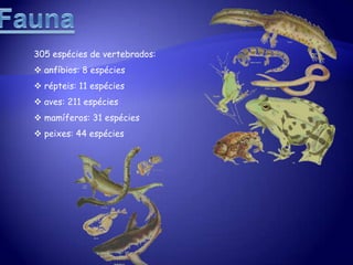 Nível da água varia com as marés.