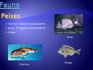 Água com elevadas concentrações em sais de sódio.