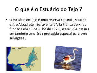 O que é o Estuário do Tejo ?
• O estuário do Tejo é uma reserva natural , situada
entre Alcochete , Benavente e Vila Franca de Xira ,
fundada em 19 de Julho de 1976 , e em1994 passa a
ser também uma área protegida especial para aves
selvagens .
 