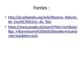 Fontes :
• http://pt.wikipedia.org/wiki/Reserva_Natural_
do_Estu%C3%A1rio_do_Tejo
• https://www.google.pt/search?tbm=isch&oq=
&gs_l=&q=estuario%20do%20tejo#q=estuario
+do+tejo&tbm=isch
 