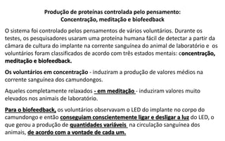Produção de proteínas controlada pelo pensamento:
Concentração, meditação e biofeedback
O sistema foi controlado pelos pensamentos de vários voluntários. Durante os
testes, os pesquisadores usaram uma proteína humana fácil de detectar a partir da
câmara de cultura do implante na corrente sanguínea do animal de laboratório e os
voluntários foram classificados de acordo com três estados mentais: concentração,
meditação e biofeedback.
Os voluntários em concentração - induziram a produção de valores médios na
corrente sanguínea dos camundongos.
Aqueles completamente relaxados - em meditação - induziram valores muito
elevados nos animais de laboratório.
Para o biofeedback, os voluntários observavam o LED do implante no corpo do
camundongo e então conseguiam conscientemente ligar e desligar a luz do LED, o
que gerou a produção de quantidades variáveis na circulação sanguínea dos
animais, de acordo com a vontade de cada um.
 