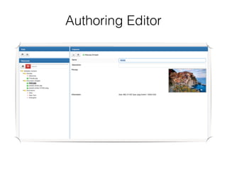 Authoring Editor
 