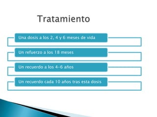 Una dosis a los 2, 4 y 6 meses de vida


Un refuerzo a los 18 meses


Un recuerdo a los 4-6 años


Un recuerdo cada 10 años tras esta dosis
 