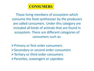 ES unit - 1 ECOSYSTEM PPT.pptx