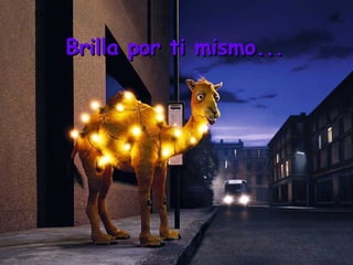 Brilla por ti mismo...
