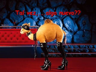 Tal vez,...algo nuevo??