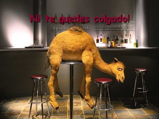 Ni te quedes colgado!