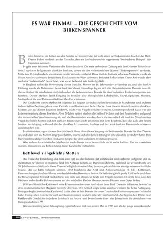 100 Es War Einmal.... Der Darwinismus
ES WAR EINMAL – DIE GESCHICHTE VOM
BIRKENSPANNER
B
iston betularia, ein Falter aus der Familie der Geometridae, ist wohl eines der bekanntesten Insekte der Welt.
Diesen Ruhm verdankt es der Tatsache, dass es das bedeutendste sogenannte “beobachtete Beispiel“ für
Evolution sein soll..
Es gibt zwei bekannte Varianten des Biston betularia. Die weit verbreitete Gattung mit dem Namen Biston betu-
laria f. typica ist hellgrau mit dunklen Punkten, denen sie den volkstümlichen Namen “Birkenspanner“ verdankt.
Mitte des 19. Jahrhunderts wurde eine zweite Variante entdeckt: Diese dunkle, beinahe schwarze Variante wurde als
Biston betularia carbonaria bezeichnet. Das lateinische Wort carbonaria bedeutet kohlefarben. Diese Art wurde aber
auch als “melanistisch“ bezeichnet, was soviel bedeutet wie dunkel gefärbt.
In England nahm die Verbreitung dieser dunklen Motten im 19. Jahrhundert erkennbar zu, und die dunkle
Färbung wurde als Melanismus bezeichnet. Auf dieser Grundlage legten sich die Darwinisten eine Theorie zurecht,
die sie fortan für mindestens ein Jahrhundert als bedeutendsten Beweis für den laufenden Evolutionsprozess an-
führten. Dieser Mythos fand Eingang in beinahe alle biologischen Lehrbücher, Enzyklopädien, Museen,
Medienberichte und Dokumentarfilme über Darwinismus.
Die Geschichte dieses Mythos ist folgende: Zu Beginn der industriellen Revolution in Manchester und anderen
industriellen Zentren gab es eine Vielzahl von Bäumen mit heller Borke. Aus diesem Grund konnten dunklere
Motten die auf diesen Bäumen landeten, leicht von Vögeln erkannt werden. Dementsprechend kurz war die
Lebenserwartung dieser Insekten. Aber 50 Jahre später starben die hellen Flechten auf den Baumrinden aufgrund
der industriellen Verschmutzung ab, und die Baumrinden wurden durch die verrußte Luft dunkler. Nun konnten
Vögel die hellen Motten auf der dunklen Baumrinde leicht erkennen; mit dem Ergebnis, dass die Zahl der hellen
Motten zurückging, während die der dunklen Art zunahm, da diese auf der jetzt dunklen Baumrinde schwerer
auszumachen war.
Evolutionisten zogen daraus den falschen Schluss, dass dieser Vorgang ein bedeutender Beweis für ihre Theorie
sei, und dass sich die Motten angepasst hätten, indem sich ihre helle Färbung in eine dunklere verändert hätte. Den
Darwinisten zufolge war dies ein klares Beispiel für den laufenden Evolutionsprozess.
Wie andere darwinistische Mythen ist auch dieser zwischenzeitlich nicht mehr haltbar. Um zu verstehen
warum, müssen wir die Entwicklung dieser Geschichte betrachten.
Kettlewells angeklebte Motten
Die These der Entstehung der dunkleren Art aus der helleren Art, entstanden und verbreitet aufgrund der in-
dustriellen Revolution in England, fand ihre Anfänge bereits, als Darwin noch lebte. Während der ersten Hälfte des
20. Jahrhunderts hielt sich diese Theorie lediglich als eine Idee, denn es gab nicht eine einzige wissenschaftliche
Studie, die sie hätte belegen können. 1953 beschloss der Arzt und Amateurbiologe H. B.D. Kettlewell,
Untersuchungen durchzuführen, um den fehlenden Beweis zu liefern. Er ließ eine gleich große Zahl helle und dun-
kle Birkenspanner frei und beobachtete, wie viele von ihnen zur Beute von Vögeln wurden. Er stellte fest, dass den
Räubern mehr dunkle Birkenspanner auf den mit heller Flechte überwucherten Bäumen zum Opfer fielen.
1959 veröffentlichte Kettlewell seine Erkenntnisse in einem Artikel mit dem Titel “Darwins fehlender Beweis“ in
dem evolutionistischen Magazin Scientific American. Der Artikel sorgte unter den Darwinisten für helle Aufregung.
Biologen beglückwünschten Kettlewell dafür, dass er den Beweis für einen “laufenden Evolutionsprozess“ erbracht
habe. Fotografien von Kettlewell auf Baumstämmen wurden überall veröffentlicht. Zu Beginn der 1960er war
Kettlewells Geschichte in jedem Lehrbuch zu finden und beeinflusste über vier Jahrzehnte die Ansichten von
Biologiestudenten.141
Wie merkwürdig seine Behauptung eigentlich war, fiel zum ersten Mal in 1985 auf, als der junge amerikanische
 