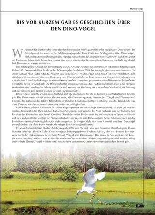107Adnan Oktar
BIS VOR KURZEM GAB ES GESCHICHTEN ÜBER
DEN DINO-VOGEL
W
ährend der letzten zehn Jahre standen Dinosaurier mit Vogelfedern oder imaginäre “Dino-Vögel“ im
Mittelpunkt darwinistischer Medienpropaganda. Eine Reihe von Schlagzeilen über Dino-Vögel,
Rekonstruktionszeichnungen und ständig wiederholte Erklärungen von “Experten“ auf dem Gebiet
der Evolution haben viele Menschen davon überzeugt, dass in der Vergangenheit Kreaturen die halb Vogel und
halb Dinosaurier waren, existierten.
Der letzte große Anlauf zur Verteidigung dieses Ansatzes wurde von den beiden bekannten Ornithologen
Richard O. Prum und Alan Brush in der Märzausgabe des Jahres 2003 des Scientific American unternommen. In
ihrem Artikel “Die Feder oder der Vogel? Was kam zuerst?“ waren Prum und Brush sehr zuversichtlich, den
ständigen Diskussionen über den Ursprung von Vögeln endlich ein Ende setzen zu können. Sie behaupteten,
dass sie durch ihre Entdeckungen zu einer überraschenden Erkenntnis gekommen seien: Dinosaurier hatten bere-
its Federn, bevor es Vögel gab. Die Wissenschaftler gingen davon aus, dass Federn nicht zum Zweck des Fliegens
entstanden sind, sondern als Schutz vor Kälte und Wasser, zur Werbung um das andere Geschlecht, als Tarnung
und zur Abwehr. Erst später wurden sie zum Fliegen genutzt.
Diese These basierte jedoch ausschließlich auf Spekulationen, für die es keinen wissenschaftlichen Beweis
gab. Die Theorie war nichts weiter als eine neue, aber bedeutungslose, Version der “Vögel sind Dinosaurier“
Theorie, die während der letzten Jahrzehnte in blindem Fanatismus heftigst verteidigt wurde. Tatsächlich war
diese Theorie, wie die anderen Ikonen der Evolution, völlig haltlos.
Eine Person, dessen Ansichten in dieser Angelegenheit berücksichtigt werden sollte, ist eine der bekan-
ntesten Autoritäten der Welt auf dem Gebiet des Ursprungs von Vögeln: Dr. Alan Feduccia von der biologischen
Fakultät der Universität von North Carolina. Obwohl er selbst Evolutionist ist, widerspricht er Prum und Brush
und den anderen Befürwortern der Verwandtschaft von Vögeln und Dinosauriern. Seiner Meinung nach ist die
Evolutionstheorie diesbezüglich noch nicht ausgereift. Er weigert sich, sich dem Rummel um den Dino-Vogel
anzuschließen, der ohne jeden Beweis als belegte Tatsache dargestellt wird.
Er schrieb einen Artikel für die Oktoberausgabe 2002 von The Auk , eine von American Ornithologists' Union
(Amerikanischen Verband der Ornithologen) herausgegebene Fachzeitschrift, die als Forum für wis-
senschaftliche Diskussionen dient. Sein Artikel “Vögel sind Dinosaurier: Die einfache Antwort auf ein kom-
pliziertes Problem“ erklärt, dass es für die von John Ostrom in den 1970ern vorgeschlagene und seitdem eifrig
unterstützte Theorie, Vögel würden von Dinosauriern abstammen, keinerlei wissenschaftlichen Beweis gibt.
Harun Yahya
 