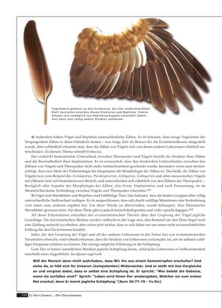 112 Es War Einmal.... Der Darwinismus
4) Außerdem haben Vögel und Reptilien unterschiedliche Zähne. Es ist bekannt, dass einige Vogelarten der
Vergangenheit Zähne in ihren Schnäbeln hatten – was lange Zeit als Beweis für die Evolutionstheorie dargestellt
wurde. Aber schließlich erkannte man, dass die Zähne von Vögeln sich von denen anderer Lebewesen erheblich un-
terscheiden. Zu diesem Thema schreibt Feduccia:
Der vielleicht bedeutendste Unterschied zwischen Theropoden und Vögeln betrifft die Struktur ihrer Zähne
und die Beschaffenheit ihrer Implantation. Es ist erstaunlich, dass den drastischen Unterschieden zwischen den
Zähnen von Vögeln und Theropoden nicht mehr Aufmerksamkeit geschenkt wurde, besonders wenn man berück-
sichtigt, dass eine Säule der Paläontologie bei Säugetieren die Morphologie der Zähne ist. Das heißt, die Zähne von
Vögeln (wie zum Beispiel des Archäopteryx, Parahesperornis, Ichthyornis, Cathayornis und allen mesozoischen Vögeln
mit Zähnen) sind sich bemerkenswert ähnlich, und unterscheiden sich erheblich von den Zähnen der Theropoden…
Bezüglich aller Aspekte der Morphologie der Zähne, also Form, Implantation und auch Erneuerung, ist im
Wesentlichen keine Verbindung zwischen Vögeln und Theropoden erkennbar.161
5) Vögel sind Warmblüter und Reptilien sind kaltblütige Tiere. Das bedeutet, dass die beiden Gruppen über völlig
unterschiedliche Stoffwechsel verfügen. Es ist ausgeschlossen, dass sich durch zufällige Mutationen eine Veränderung
vom einen zum anderen ergeben hat. Um diese Hürde zu überwinden, wurde behauptet, dass Dinosaurier
Warmblüter gewesen seien. Für diese These gibt es jedoch keineAnhaltspunkte und vieles spricht dagegen.162
All diese Erkenntnisse entziehen der evolutionistischen Theorie über den Ursprung der Vögel jegliche
Grundlage. Die darwinistischen Medien werden vielleicht in der Lage sein, den Rummel um den Dino-Vogel noch
eine Zeitlang aufrecht zu erhalten, aber schon jetzt ist klar, dass es sich dabei nur um einen nicht wissenschaftlichen
Feldzug für den Darwinismus handelt.
Jeder, der den Ursprung der Vögel und all der anderen Lebewesen in der Natur frei von evolutionistischen
Vorurteilen erforscht, wird schnell erkennen, dass die Struktur von Lebewesen zu komplex ist, um sie anhand zufäl-
liger Ereignisse erklären zu können. Die einzige mögliche Erklärung ist die Schöpfung.
Gott, Der in Seiner unendlichen Weisheit jegliche Schöpfung kennt, schuf jedes Lebewesen in Vollkommenheit
innerhalb eines Augenblicks. Im Quran sagt Gott:
Will der Mensch denn nicht wahrhaben, dass Wir ihn aus einem Samentropfen erschufen? Und
siehe da, er hält sich für Unseren (kompetenten) Widersacher. Und er stellt mit Uns Vergleiche
an und vergisst dabei, dass er selbst eine Schöpfung ist. Er spricht: “Wer belebt die Gebeine,
wenn sie zerfallen sind?“ Sprich: “Leben wird ihnen Der wiedergeben, Welcher sie zum ersten
Mal erschuf, denn Er kennt jegliche Schöpfung."(Sure 36:77-79 - Ya Sin)
VVooggeellffeeddeerrnn ggeehhöörreenn zzuu ddeenn SSttrruukkttuurreenn,, ddiiee eeiinnee uunnüübbeerrbbrrüücckkbbaarree
KKlluufftt ddaarrsstteelllleenn zzwwiisscchheenn ddiieesseenn KKrreeaattuurreenn uunndd RReeppttiilliieenn.. FFeeddeerrnn
kköönnnneenn ssiicchh uunnmmöögglliicchh aauuss RReeppttiilliieennsscchhuuppppeenn eennttwwiicckkeelltt hhaabbeenn,,
wweeiill ddiieessee eeiinnee vvöölllliigg aannddeerree SSttrruukkttuurr aauuffwweeiisseenn..
 