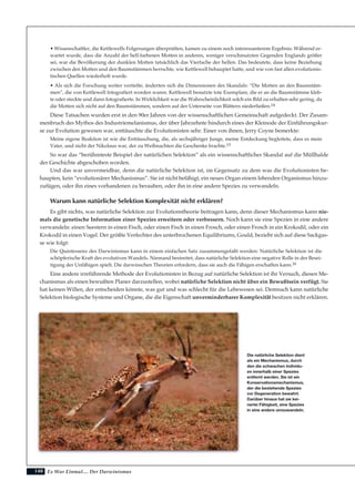 148
• Wissenschaftler, die Kettlewells Folgerungen überprüften, kamen zu einem noch interessanterem Ergebnis: Während er-
wartet wurde, dass die Anzahl der hell-farbenen Motten in anderen, weniger verschmutzten Gegenden Englands größer
sei, war die Bevölkerung der dunklen Motten tatsächlich das Vierfache der hellen. Das bedeutete, dass keine Beziehung
zwischen den Motten und den Baumstämmen herrschte, wie Kettlewell behauptet hatte, und wie von fast allen evolutionis-
tischen Quellen wiederholt wurde.
• Als sich die Forschung weiter vertiefte, änderten sich die Dimensionen des Skandals: “Die Motten an den Baumstäm-
men”, die von Kettlewell fotografiert worden waren. Kettlewell benutzte tote Exemplare, die er an die Baumstämme kleb-
te oder steckte und dann fotografierte. In Wirklichkeit war die Wahrscheinlichkeit solch ein Bild zu erhalten sehr gering, da
die Motten sich nicht auf den Baumstämmen, sondern auf der Unterseite von Blättern niederließen.14
Diese Tatsachen wurden erst in den 90er Jahren von der wissenschaftlichen Gemeinschaft aufgedeckt. Der Zusam-
menbruch des Mythos des Industriemelanismus, der über Jahrzehnte hindurch eines der Kleinode der Einführungskur-
se zur Evolution gewesen war, enttäuschte die Evolutionisten sehr. Einer von ihnen, Jerry Coyne bemerkte:
Meine eigene Reaktion ist wie die Enttäuschung, die, als sechsjähriger Junge, meine Entdeckung begleitete, dass es mein
Vater, und nicht der Nikolaus war, der zu Weihnachten die Geschenke brachte.15
So war das “berühmteste Beispiel der natürlichen Selektion” als ein wissenschaftlicher Skandal auf die Müllhalde
der Geschichte abgeschoben worden.
Und das war unvermeidbar, denn die natürliche Selektion ist, im Gegensatz zu dem was die Evolutionisten be-
haupten, kein “evolutionärer Mechanismus”. Sie ist nicht befähigt, ein neues Organ einem lebenden Organismus hinzu-
zufügen, oder ihn eines vorhandenen zu berauben, oder ihn in eine andere Spezies zu verwandeln.
Warum kann natürliche Selektion Komplexität nicht erklären?
Es gibt nichts, was natürliche Selektion zur Evolutionstheorie beitragen kann, denn dieser Mechanismus kann nie-
mals die genetische Information einer Spezies erweitern oder verbessern. Noch kann sie eine Spezies in eine andere
verwandeln: einen Seestern in einen Fisch, oder einen Fisch in einen Frosch, oder einen Frosch in ein Krokodil, oder ein
Krokodil in einen Vogel. Der größte Verfechter des unterbrochenen Equilibriums, Gould, bezieht sich auf diese Sackgas-
se wie folgt:
Die Quintessenz des Darwinismus kann in einem einfachen Satz zusammengefaßt werden: Natürliche Selektion ist die
schöpferische Kraft des evolutiven Wandels. Niemand bestreitet, dass natürliche Selektion eine negative Rolle in der Besei-
tigung der Unfähigen spielt. Die darwinschen Theorien erfordern, dass sie auch die Fähigen erschaffen kann.16
Eine andere irreführende Methode der Evolutionisten in Bezug auf natürliche Selektion ist ihr Versuch, diesen Me-
chanismus als einen bewußten Planer darzustellen, wobei natürliche Selektion nicht über ein Bewußtsein verfügt. Sie
hat keinen Willen, der entscheiden könnte, was gut und was schlecht für die Lebewesen sei. Demnach kann natürliche
Selektion biologische Systeme und Organe, die die Eigenschaft unverminderbarer Komplexität besitzen nicht erklären.
Es War Einmal.... Der Darwinismus
Die natürliche Selektion dient
als ein Mechanismus, durch
den die schwachen Individu-
en innerhalb einer Spezies
entfernt werden. Sie ist ein
Konservationsmechanismus,
der die bestehende Spezies
vor Degeneration bewahrt.
Darüber hinaus hat sie kei-
nerlei Fähigkeit, eine Spezies
in eine andere umzuwandeln.
 