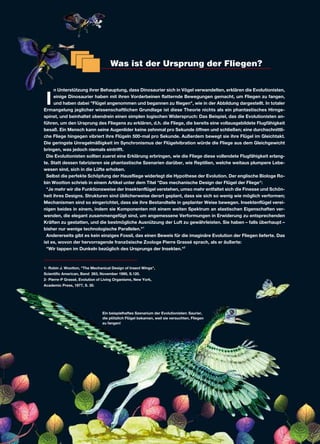 Was ist der Ursprung der Fliegen?
I
n Unterstützung ihrer Behauptung, dass Dinosaurier sich in Vögel verwandelten, erklären die Evolutionisten,
einige Dinosaurier haben mit ihren Vorderbeinen flatternde Bewegungen gemacht, um Fliegen zu fangen,
und haben dabei "Flügel angenommen und begannen zu fliegen", wie in der Abbildung dargestellt. In totaler
Ermangelung jeglicher wissenschaftlichen Grundlage ist diese Theorie nichts als ein phantastisches Hirnge-
spinst, und beinhaltet obendrein einen simplen logischen Widerspruch: Das Beispiel, das die Evolutionisten an-
führen, um den Ursprung des Fliegens zu erklären, d.h. die Fliege, die bereits eine vollausgebildete Flugfähigkeit
besaß. Ein Mensch kann seine Augenlider keine zehnmal pro Sekunde öffnen und schließen; eine durchschnittli-
che Fliege hingegen vibriert ihre Flügeln 500-mal pro Sekunde. Außerdem bewegt sie ihre Flügel im Gleichtakt.
Die geringste Unregelmäßigkeit im Synchronismus der Flügelvibration würde die Fliege aus dem Gleichgewicht
bringen, was jedoch niemals eintrifft.
Die Evolutionisten sollten zuerst eine Erklärung erbringen, wie die Fliege diese vollendete Flugfähigkeit erlang-
te. Statt dessen fabrizieren sie phantastische Szenarien darüber, wie Reptilien, welche weitaus plumpere Lebe-
wesen sind, sich in die Lüfte erhoben.
Selbst die perfekte Schöpfung der Hausfliege widerlegt die Hypothese der Evolution. Der englische Biologe Ro-
bin Wootton schrieb in einem Artikel unter dem Titel "Das mechanische Design der Flügel der Fliege":
"Je mehr wir die Funktionsweise der Insektenflügel verstehen, umso mehr entfaltet sich die Finesse und Schön-
heit ihres Designs. Strukturen sind üblicherweise derart geplant, dass sie sich so wenig wie möglich verformen;
Mechanismen sind so eingerichtet, dass sie ihre Bestandteile in geplanter Weise bewegen. Insektenflügel verei-
nigen beides in einem, indem sie Komponenten mit einem weiten Spektrum an elastischen Eigenschaften ver-
wenden, die elegant zusammengefügt sind, um angemessene Verformungen in Erwiderung zu entsprechenden
Kräften zu gestatten, und die bestmögliche Ausnützung der Luft zu gewährleisten. Sie haben – falls überhaupt –
bisher nur wenige technologische Parallelen."1
Andererseits gibt es kein einziges Fossil, das einen Beweis für die imaginäre Evolution der Fliegen lieferte. Das
ist es, wovon der hervorragende französische Zoologe Pierre Grassé sprach, als er äußerte:
"Wir tappen im Dunkeln bezüglich des Ursprungs der Insekten."2
1- Robin J. Wootton, "The Mechanical Design of Insect Wings",
Scientific American, Band 263, November 1990, S.120.
2- Pierre-P Grassé, Evolution of Living Organisms, New York,
Academic Press, 1977, S. 30.
Ein beispielhaftes Szenarium der Evolutionisten: Saurier,
die plötzlich Flügel bekamen, weil sie versuchten, Fliegen
zu fangen!
 