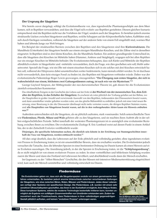 168
Der Ursprung der Säugetiere
Wie bereits zuvor dargelegt, schlägt die Evolutionstheorie vor, dass irgendwelche Phantasiegeschöpfe aus dem Meer
kamen, sich in Reptilien verwandelten, und dass die Vögel sich evolutiv aus Reptilien gestalteten. Diesem gleichen Szenario
entsprechend sind die Reptilien nicht nur die Vorfahren der Vögel, sondern auch der Säugetiere. Es bestehen jedoch enorme
strukturelle Lücken zwischen Säugetieren und Reptilien, welche Schuppen auf der Körperoberfläche haben, Kaltblüter sind,
sich durch Eierlegen vermehren, während die Säugetiere auf der anderen Seite von einem Fell eingehüllt sind, warmes Blut
haben und lebende Junge zur Welt bringen.
Ein Beispiel der strukturellen Barriere zwischen den Reptilien und den Säugetieren sind ihre Kieferstrukturen. Die
Mandibula (Unterkiefer) der Säugetiere besteht aus einem einzigen Mandibular-Knochen, und die Zähne sind in denselben
eingesetzt. In Reptilien sind es drei kleine Knochen, die die Mandibula flanken. Ein anderer grundlegender Unterschied ist,
dass alle Säugetiere drei Knochen im Mittelohr haben (Hammer, Amboss und Steigbügel), wogegen sich bei allen Reptilien
nur ein einziger Knochen im Mittelohr befindet. Die Evolutionisten behaupten, dass sich Kiefer und Mittelohr der Reptilien
allmählich evolutiv in Säugerkiefer und –mittelohr verwandelten, doch die Frage, wie dies geschehen sein soll, bleibt unbe-
antwortet. Speziell die Frage, wie ein Ohr mit einem einzelnen Knochen sich in ein solches mit drei Knochen entwickelt ha-
ben soll, während der Hörprozess dabei ununterbrochen weiter funktionierte, kann niemals erklärt werden. Es ist durchaus
nicht verwunderlich, dass kein einziges Fossil zu finden ist, das Reptilien mit Säugetieren verbinden würde. Daher war der
evolutionistische Paläontologe Roger Lewin gezwungen, einzugestehen: “Der Übergang zum ersten Säugetier, der sich in
wahrscheinlich nur einem, höchstens zwei Gattungsstämmen zutrug, ist nach wie vor ein Mysterium.”59
George Gaylord Simpson, der Mitbegründer der neo-darwinistischen Theorie ist, gab diesen für die Evolutionisten
ziemlich erstaunlichen Kommentar:
Das rätselhafteste Ereignis in der Geschichte des Lebens auf der Erde ist der Wechsel von der mesozoischen Ära, dem Zeit-
alter der Reptilien, in das Zeitalter der Säugetiere. Es erscheint als wäre plötzlich der Vorhang gefallen auf der Bühne, wo
die Hauptrollen in großer Anzahl und verwirrende Auswahl von den Reptilien, insbesondere den Dinosauriern besetzt waren,
und dann unmittelbar wieder gehoben worden wäre, um das gleiche Bühnenbild zu enthüllen, jedoch mit einer total neuen Be-
setzung; einer Besetzung in der die Dinosaurier überhaupt nicht mehr vertreten waren, die übrigen Reptilien Statisten waren,
und alle Hauptrollen von Säugetieren besetzt waren, auf die in den vorhergehenden Akten kaum ein Hinweis enthalten
war.60
Außerdem unterschieden sich die Säugetiere, als sie plötzlich auftraten, stark voneinander. Solch unterschiedliche Tiere
wie Fledermäuse, Pferde, Mäuse und Wale gehören alle zu den Säugetieren, und sie machten ihren Auftritt alle in der sel-
ben erdgeschichtlichen Periode. Selbst innerhalb der weitesten Phantasiegrenzen ist es unmöglich eine evolutionäre Bezie-
hung zwischen ihnen zu errichten. Der evolutionistische Zoologe R. Eric Lombard weist auf diesen Punkt in einem Artikel
hin, der in der Zeitschrift Evolution veröffentlicht wurde:
Diejenigen, die spezifische Information suchen, die dienlich sein könnte in der Errichtung von Stammgeschichten inner-
halb der Taxa von Säugetieren, werden enttäuscht werden.61
All dies zeigt deutlich, dass die Lebewesen auf der Erde plötzlich und vollständig gestaltet, ohne irgendeinen evoluti-
ven Prozess in Erscheinung traten; es ist ein unumstößlicher Beweis, dass sie erschaffen wurden. Die Evolutionisten jedoch
versuchen die Tatsache, dass die lebenden Spezien in einer bestimmten Ordnung ins Dasein kamen als einen Hinweis auf ei-
ne Evolution auszulegen. Die Anordnung jedoch, in der die Spezien in Erscheinung traten, ist die “Schöpfungsordnung”,
da es nicht möglich ist von einem evolutiven Prozess zu reden. In einer vortrefflichen und fehlerlosen Schöpfung wurden
zuerst die Meere und dann das Festland mit Lebewesen bevölkert, und abschließend wurde dann der Mensch erschaffen.
Im Gegensatz zu der “Affen-Menschen” Geschichte, die den Massen mit intensiver Medienunterstützung eingetrichtert
wird, kam auch der Mensch unmittelbar und vollständig entwickelt ins Dasein.
Es War Einmal.... Der Darwinismus
Die Evolutionisten geben vor, dass sich alle Säugetierspezien evolutiv von einem gemeinsamen Vor-
fahren entwickelten. Es bestehen jedoch enorme Unterschiede zwischen verschiedenen Gattungen
der Säugetiere, wie etwa zwischen Bären, Walen, Mäusen und Fledermäusen. Jedes dieser Lebewe-
sen verfügt über Systeme von spezifischem Design. Die Fledermäuse, z.B. wurden mit einem sehr
sensitiven Ultraschallsystem geschaffen, das ihnen in der Dunkelheit ermöglicht, ihren Weg zu finden.
Diese komplexen Systeme, welche die moderne Technologie bestenfalls imitieren kann, konnten un-
möglich als Ergebnis von zufälligem Zusammentreffen von Umständen entstanden sein. Zudem de-
monstriert auch der Fossilnachweis, dass Fledermäuse in ihrer vollständigen gegenwärtigen
Gestalt plötzlich auftraten, und keinem "evolutiven Prozess" unterzogen waren.
Fledermäuse
Das 50 Millionen Jahre alte Fleder-
mausfossil unterscheidet sich nicht von
einem zeitgenössischen Gegenstück.
(Science, Bd. 154.)
 