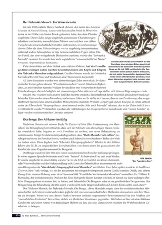 174
Der Nebraska Mensch: Ein Schweinezahn
Im Jahr 1922 erklärte Henry Fairfield Osborn, der Leiter des American
Museum of Natural History, dass er ein Backenzahn-Fossil in West Neb-
raska in der Nähe von Snake Brook gefunden habe, das dem Pliozän
zugehörte. Dieser Zahn zeigte angeblich gemeinsame Charaktereigen-
schaften von beiden, menschlichen Zähnen und solchen von Affen.
Tiefgehende wissenschaftliche Debatten entbrannten, in welchen einige
diesen Zahn als dem Pithecanthropus erectus zugehörig interpretierten,
während andere behaupteten, er läge dem menschlichen Typen näher. Die-
ses Fossil, das eine weitgehende Diskussion auslöste, wurde der “Nebraska
Mensch” benannt. Es wurde ihm auch sogleich ein “wissenschaftlicher Name”
verpasst: Hesperopithecus haroldcooki.
Viele Autoritäten auf dem Gebiet unterstützten Osborn. Auf der Grundla-
ge dieses einzigen Zahns wurden Rekonstruktionen des Kopfs und Körpers
des Nebraska Menschen aufgezeichnet. Darüber hinaus wurde der Nebraska
Mensch selbst mit Frau und Kindern in einer Naturszene dargestellt.
All diese Szenarios wurden von einem einzigen Zahn entwickelt. Evolutio-
nistische Kreise gaben diesem “Phantasiemenschen” soviel Glaubwürdigkeit,
dass, als ein Forscher namens William Bryan diese mit Vorurteilen behafteten
Entscheidungen, die sich lediglich auf einen einzigen Zahn stützten in Frage stellte, sich bitterer Rüge ausgesetzt sah.
Im Jahr 1927 wurden noch andere Teile des Skeletts entdeckt. Entsprechend dieser neuerlich gefundenen Stücke ge-
hörte der Zahn weder einem Menschen, noch einem Affen an. Es stellte sich heraus, dass er von Prosthennops, der ausge-
storbenen Spezies eines amerikanischen Wildschweins stammte. William Gregory gab diesen Fauxpas in einem Artikel
unter der Überschrift “Hesperopithecus: Anscheinend weder Affe noch Mensch” bekannt, der in der Zeitschrift Science
veröffentlicht wurde.68 Daraufhin wurden alle Abbildungen des Hesperopithecus haroldcooki und “seiner Familie” ei-
ligst von der evolutionistischen Literatur entfernt.
Ota Benga: Der Afrikaner im Käfig
Nachdem Darwin mit seinem Buch The Descent of Man (Die Abstammung des Men-
schen) die Behauptung hervorbrachte, dass sich der Mensch von affenartigen Wesen evolu-
tiv entwickelt habe, begann er nach Fossilien zu suchen, um seine Behauptung zu
untermauern. Einige Evolutionisten jedoch glaubten, dass “Halb-Mensch-Halb-Affen”-Ge-
schöpfe nicht nur im Fossilnachweis, sondern auch lebend in verschiedenen Teilen der Welt
zu finden seien. Diese Jagden nach “lebenden Übergangsgliedern” führten in den frühen
Jahren des 20. Jh. zu unglücklichen Zwischenfällen, von denen einer der grausamsten die
Geschichte eines Pygmäen namens Ota Benga ist.
Ota Benga wurde im Jahr 1904 von einem evolutionistischen Forscher im Kongo gefangen.
In seiner eigenen Sprache bedeutete sein Name “Freund”. Er hatte eine Frau und zwei Kinder.
Er wurde angekettet in einem Käfig wie ein Tier in die USA verfrachtet, wo ihn evolutionisti-
sche Wissenschaftler auf der Weltausstellung in St. Louis der Öffentlichkeit zusammen mit ande-
ren Affenspezien als “das nächste Übergangsglied zum Menschen” vorführten. Zwei Jahre später wurde er in den Bronx
Zoo von New York verlegt, wo sie ihn zusammen mit einigen Schimpansen, einem Gorilla namens Dinah, und einem
Orang-Utan namens Dohung unter dem Namensschild “Urzeitliche Vorfahren des Menschen” ausstellten. Dr. William T.
Hornaday, der evolutionistische Direktor des Zoos hielt große Reden darüber wie stolz er darauf sei, diese außergewöhn-
liche Übergangsform in seinem Zoo zu haben, und behandelte Ota Benga als wäre er ein gewöhnliches Tier gewesen. Ota
Benga ertrug die Behandlung, die ihm zuteil wurde nicht mehr länger und nahm sich letzten Endes selbst das Leben.69
Der Piltdown Mensch, der Nebraska Mensch, Ota Benga... diese Skandale zeigen, dass die evolutionistischen Wis-
senschaftler nicht davor zurückschrecken, jegliche Art von unwissenschaftlichen Methoden einzusetzen, um ihre Theo-
rie zu belegen. Wenn wir uns dieses Punkts bewusst anderes sogenanntes Beweismaterial für den Mythos der
“menschlichen Evolution” betrachten, stehen wir ähnlichen Situationen gegenüber. Wir haben es hier mit einer fiktiven
Geschichte und einer Armee von freiwilligen Helfern zu tun, die alles daran setzen würden die Wahrheit dieser Ge-
schichte zu belegen.
Es War Einmal.... Der Darwinismus
Das Bild oben wurde ausschließlich auf der
Grundlage eines einzigen Zahns gezeichnet
und wurde in der Zeitschrift Illustrated London
News am 24. Juli 1922 veröffentlicht. Die Evo-
lutionisten waren jedoch äußerst enttäuscht,
als sich später herausstellte, dass jener Zahn
weder einem affenähnlichen Geschöpf, noch
einem Menschen angehört hatte, sondern eher
einer ausgestorbenen Schweinespezies.
OTA BENGA:
“Der Pygmäe im Zoo.”
 