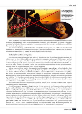 177Adnan Oktar
Harun Yahya
In den beiden Illustratio-
nen links ist A. afarensis
zu sehen. Das Bild unten
zeigt A. boisei. Diese Hy-
pothesen sind völlig imagi-
när. Australopithecinen
sind in Wahrheit eine aus-
gestorbene Affenart.
FALSCH
FALSCH
In sich selbst haben alle Entdeckungen und wissenschaftliche Forschung enthüllt, dass der Fossilnachweis keinen
evolutiven Prozess andeutet, wie er von den Evolutionisten vorgegeben wird. Die Fossilien, die von den Evolutionis-
ten als die Vorläufer des Menschen ausgegeben werden, gehören tatsächlich entweder verschiedenen menschlichen
Rassen an, oder Affenspezien.
Nun erhebt sich die Frage, welche der Fossilien menschlichen Ursprungs sind, und welche von Affen stammen?
Und ferner: Ist es jemals möglich, irgendwelche davon als Übergangsformen betrachten zu können? Um die Antwor-
ten darauf zu finden, wollen wir uns jede der Kategorien etwas näher betrachten.
Australopithecus: Eine Affenspezies
Australopithecus, die erste Kategorie, heißt übersetzt “der südliche Affe”. Es wird angenommen, dass diese Ge-
schöpfe zuerst vor etwa 4 Millionen Jahren in Afrika auftauchten, und dass es sie bis vor einer Million Jahren gab. Von
den Australopithecinen gibt es einige Klassen. Die Evolutionisten vermuten, dass A. Afarensis die älteste Australopithe-
cus Spezies ist, gefolgt von A. Africanus, welche eine schmälere Knochenstruktur aufweist, und dann schließlich A. Ro-
bustus, die relativ größere Knochen hat. A. Boisei wird von einigen Forschern als eine weitere Spezies angesehen,
während andere sie als eine Unterspezies von A. Robustus betrachten.
Alle der Australopithecus Spezien sind ausgestorbene Affen, die den gegenwärtigen Affen sehr ähnlich sind.
Ihre Gehirnmasse war die gleiche oder geringer als die der heutigen Schimpansen. Sie hatten vorstehende Ansätze an
den Händen und Füßen die ihnen zum Erklettern der Bäume dienten, und ihre Füße besaßen Umklammerungsfähig-
keit um sich an Ästen festzuhalten, in der gleichen Weise wie die neuzeitlichen Schimpansen es können. Sie waren
kleinwüchsig (bis zu 130 cm), und wie bei den heutigen Schimpansen war der männliche Australopithecus größer als
der weibliche. Viele Charaktermerkmale, wie die Einzelheiten des Schädels, die nahe zusammenstehenden Augen,
scharfe Backenzähne, die Mandibular-Struktur, lange Arme und kurze Beine sind ein Beweis, dass diese Lebewesen
sich nicht von den heutigen Affen unterschieden.
Die Evolutionisten behaupten, dass die Australopithecine, obwohl sie die Anatomie von Affen hatten, ungleich
diesen aufrecht liefen, wie Menschen.
Diese Behauptung des “aufrechten Gangs” ist in der Tat eine Ansicht, die von Paläoanthropologen wie Richard
Leakey und Donald C. Johanson seit Jahrzehnten vertreten wurde. Eine große Anzahl von Wissenschaftlern jedoch
führten ausgiebige Forschungsstudien an den Skelettstrukturen der Australopithecine durch, und zeigten, dass dieses
Argument unhaltbar ist. Lord Solly Zuckerman und Prof. Charles Oxnard, zwei weltbekannte Anatomen aus Eng-
land und den USA führten weitreichende Forschungsarbeiten an verschiedenen Australopithecus Exemplaren durch,
welche zeigten, dass diese Geschöpfe nicht in aufrechter Haltung in der Art des Menschen einhergingen. Nach 15-jäh-
rigem Studium der Fossilknochen, welches von der britischen Regierung getragen wurde, kamen Lord Zuckerman
und sein Team von 5 Fachleuten zu dem Schluss, dass Australopithecus eine Affenart war, und definitiv nicht als bi-
pedal gelten konnte, trotz der Tatsache, dass Zuckerman selbst ein Evolutionist war.72 In Übereinstimmung damit
gliederte auch Charles E. Oxnard, ein anderer, für seine Forschung auf diesem Gebiet berühmter Evolutionist, die
Knochenstruktur des Australopithecus in die gleiche Kategorie, wie die des modernen Orang-Utan ein.73
 