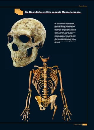 187Adnan Oktar
Harun Yahya
Die Neandertaler: Eine robuste Menschenrasse
Der links abgebildete Amud 1 Schädel
des Homo sapiens neanderthalensis wur-
de in Israel gefunden. Der Neandertaler
Mensch ist generell als robust, doch
kleinwüchsig bekannt. Es wird jedoch ge-
schätzt, dass der Mensch, dessen Fossil
dies ist, 1,80 Meter groß war. Sein Krani-
alvolumen ist das größte, das je be-
obachtet wurde: 1740 cm3. Aus all diesen
Gründen zählt dieses Fossil zu den wich-
tigen Beweisstücken, die die Behaup-
tung, dass die Neandertaler eine primitive
Spezies gewesen seien, endgültig unhalt-
bar macht.
 