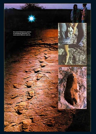 Die Laetoli Fußabdrücke gehörten
zu neuzeitlichen Menschen, sie
waren jedoch Millionen Jahre alt.
 