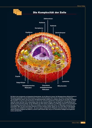 199Adnan Oktar
Harun Yahya
Die Komplexität der Zelle
Kapillaren
Kernplasma
Zellmembran
Zentriolenpaar
Nukleole
Lysozome
MitochondrieGranulares
endoplasmisches
Reticulum
Endoplasmisches
Reticulum
Golgi-Körper
Copula
Die Zelle ist das komplexeste und eleganteste Systemdesign, das der Mensch je kannte. Der Biologieprofessor Michael Denton er-
klärt diese Komplexität in seinem Buch Evolution: A Theory in Crisis (Evolution: Eine Theorie in der Krise) in einem Beispiel:
“Um die Realität des Lebens, wie es sich durch die Molekularbiologie enthüllt hat, zu erfassen müssen wir eine Zelle eine Milliarde
Mal vergrößern, so dass sie einen Durchmesser von 20 km hat, und einem gigantischen Luftschiff gleicht, groß genug, eine Groß-
stadt wie London oder New York zu überschatten. Was wir dann erkennen könnten, wäre ein Objekt von unvergleichlicher Kom-
plexität und harmonischem Design. Auf der Oberfläche der Zelle würden wir Millionen von Öffnungen erkennen, wie die Schleusen
eines gewaltigen Raumschiffs, die sich öffnen und schließen um einen fortwährenden Strom von Materialien aufzunehmen und
auszustoßen. Wenn wir durch eine dieser Schleusen ins Innere eintreten würden, fänden wir uns in einer Welt von überragender
Technologie und verblüffender Komplexität... die unsere eigenen schöpferischen Fähigkeiten weit überschreitet, einer Realität,
welche die genaue Antithese des Zufalls ist, und die in jeder Hinsicht alles, was je von menschlicher Intelligenz hervorgebracht
wurde, weit übertrifft...”
Nukleole
 