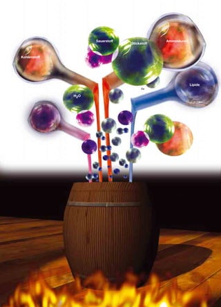 H2O
AminosäurenSauerstoff
Stickstoff
Kohlenstoff
Lipide
Ca
 