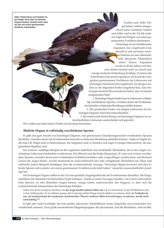 Es War Einmal.... Der Darwinismus238
Tauben und Adler Flü-
gel hatten, sollten entspre-
chend seiner Annahme Tauben
und Adler, und in der Tat alle ande-
ren Vögel mit Flügeln von einem ge-
meinsamen Vorfahren abstammen.
Homologie ist ein irreführendes
Argument, das vorgebracht wird,
obwohl es sich auf keine weite-
ren Indizien als eine offensicht-
liche physische Ähnlichkeit
stützt. Dieses Argument
wurde in all den Jahren seit Dar-
wins Zeiten niemals auch nur durch eine
einzige konkrete Entdeckung bestätigt. In keiner der
Erdschichten hat jemals irgendwer ein Fossil des ima-
ginären gemeinsamen Vorfahrens der Lebewesen mit
homologen Strukturen hervorgebracht. Im übrigen ma-
chen es die folgenden Punkte eingehend klar, dass Ho-
mologie keinerlei Beweismaterial liefert, dass Evolution
stattgefunden habe:
1. Homologe Organe findet man in Lebewesen vollstän-
dig verschiedener Spezien, zwischen denen die Evolutionis-
ten keinerlei evolutionäre Beziehung erstellen können.
2. Die genetischen Codes von einigen Lebewesen mit ho-
mologen Organen sind total unterschiedlich.
3. Die embryonale Entwicklung von homologen Organen in un-
terschiedlichen Lebewesen unterscheidet sich gänzlich.
Wir wollen nun jeden dieser Punkte im einzelnen betrachten.
Ähnliche Organe in vollständig verschiedenen Spezien
Es gibt eine gute Anzahl von homologen Organen, eine gemeinsame Charaktereigenschaft verschiedener Spezien
darstellen, zwischen denen die Evolutionisten keinerlei evolutionäre Beziehung aufstellen können. Außer in Vögeln fin-
det man z.B. Flügel auch in Fledermäusen, die Säugetiere sind, in Insekten und sogar in einigen Dinosauriern, die aus-
gestorbene Reptilien sind.
Ein weiteres, auffälliges Beispiel ist die ungeheure äußerliche und strukturelle Ähnlichkeit, die in den Augen ver-
schiedener Lebewesen beobachtet werden kann. Der Mensch und die Krake (Seepolyp) z.B. sind zwei extrem verschie-
dene Spezien, zwischen denen kein evolutionäres Verhältnis bestehen, oder vorgeschlagen werden kann, und dennoch
weisen die Augen beider, sowohl strukturell als auch funktionell eine sehr weitgehende Ähnlichkeit auf. Diese und
zahlreiche andere Beispiele bestätigen, dass die evolutionistische Aussage, “homologe Organe bewiesen und dass le-
bende Spezien sich evolutiv von einem gemeinsamen Vorfahren entwickelt haben”, keinerlei wissenschaftliche Grund-
lage hat.
Die homologen Organe sollten in der Tat eine peinliche Angelegenheit für die Evolutionisten darstellen. Die Einge-
ständnisse des bekannten Evolutionisten Frank Salisbury, welche in seinen Aussagen darüber, wie extrem unterschied-
liche Spezien zu sehr ähnlichen Augen kamen, zutage traten, unterstreichen den Engpass, in dem sich die
evolutionistische Interpretation der Homologie befindet:
Selbst eine derart komplexe Struktur wie das Auge tauchte mehrere Male auf; z.B. im Tintenfisch, in den Wirbeltieren und
in den Arthropoden. Es ist schlimm genug, den Ursprung solcher Dinge einmal erklären zu müssen, doch der Gedanke da-
ran, sie entsprechend der modernen synthetischen Theorie mehrere Male hervorbringen zu müssen, macht mich
schwindelig.158
Es gibt sehr viele Geschöpfe, die trotz großer, physischer Ähnlichkeiten, keine Ansprüche auf evolutionäre Ver-
wandtschaft zulassen. Zwei große taxonomische Säugetiergruppen, die plazentaren, und die Beuteltiere, sind ein Bei-
Adler, Fledermäuse und Insekten ha-
ben Flügel. Doch dass sie ähnliche
Organe besitzen, beweist nicht, dass
sie sich aus einem gemeinsamen
Vorfahren entwickelten.
 