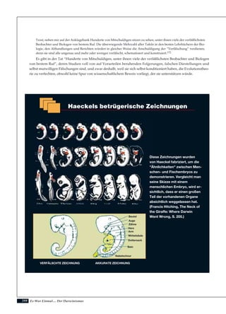 244
Trost, neben mir auf der Anklagebank Hunderte von Mitschuldigen sitzen zu sehen, unter ihnen viele der verläßlichsten
Beobachter und Biologen von bestem Ruf. Die überwiegende Mehrzahl aller Tafeln in den besten Lehrbüchern der Bio-
logie, den Abhandlungen und Berichten würden in gleicher Weise die Anschuldigung der “Verfälschung” verdienen,
denn sie sind alle ungenau und mehr oder weniger verfälscht, schematisiert und konstruiert.172
Es gibt in der Tat “Hunderte von Mitschuldigen, unter ihnen viele der verläßlichsten Beobachter und Biologen
von bestem Ruf”, deren Studien voll von auf Vorurteilen beruhenden Folgerungen, falschen Darstellungen und
selbst mutwilligen Fälschungen sind, und zwar deshalb, weil sie sich selbst konditioniert haben, die Evolutionstheo-
rie zu verfechten, obwohl keine Spur von wissenschaftlichem Beweis vorliegt, der sie unterstützen würde.
Es War Einmal.... Der Darwinismus
Haeckels betrügerische Zeichnungen
Diese Zeichnungen wurden
von Haeckel fabriziert, um die
"Ähnlichkeiten" zwischen Men-
schen- und Fischembryos zu
demonstrieren. Vergleicht man
seine Skizze mit einem
menschlichen Embryo, wird er-
sichtlich, dass er einen großen
Teil der vorhandenen Organe
absichtlich weggelassen hat.
(Francis Hitching, The Neck of
the Giraffe: Where Darwin
Went Wrong, S. 205.)Beutel
Auge
Zähne
Herz
Arm
Wirbelsäule
Dottersack
Bein
Nabelschnur
VERFÄLSCHTE ZEICHNUNG AKKURATE ZEICHNUNG
 