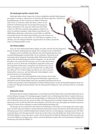 263Adnan Oktar
Die Raubvögel und ihre scharfe Sicht
Raubvögel haben scharfe Augen, die es ihnen ermöglichen, perfekte Entfernungsan-
passungen zu machen, während sie im Sturzflug ihre Beute angreifen. Ähnlich wie
Kampfflugzeuge, die ihre Tausende von Metern entfernten
Ziele orten, so entdecken Adler ihre Beute, indem sie die
leichteste Farbänderung oder die geringste Bewegung am
Boden wahrnehmen. Das Auge des Adlers hat einen Sicht-
winkel von 300 Grad, und kann jede gegebene Ansicht etwa
sechs- bis achtfach vergrößern. Adler können einen Bereich von
30000 Hektar abkämmen, während sie in einer Höhe von 4500 Me-
tern darüber kreisen. Sie können ohne Weiteres ein in den Gräsern ver-
stecktes Kaninchen aus einer Höhe von 1500 Metern erspähen. Es ist
offenbar, dass die außergewöhnliche Augenstruktur des Adlers speziell für
dieses Geschöpf geschaffen wurde.
Die Winterschläfer
Tiere, die einen Winterschlaf halten, bleiben am Leben, obwohl sich ihre Körpertem-
peratur der kalten Außentemperatur anpaßt. Wie vermögen sie das zu überleben?
Säugetiere sind warmblütig. Das bedeutet, dass ihre Körpertemperatur unter
normalen Bedingungen konstant bleibt, da ein natürlicher Thermostat in ih-
rem Körper diese Temperatur beständig erhält. Während des Winterschlafs
jedoch sinkt die Körpertemperatur kleiner Säugetiere, wie die des Eich-
hörnchens, die normal bei 40 Grad liegt, auf etwas über dem Gefrier-
punkt ab, als ob sie durch eine Art Regulator eingestellt worden wäre.
Der körperliche Stoffwechsel verlangsamt sich drastisch. Das Tier be-
ginnt sehr langsam zu atmen, und sein normaler Puls von 300 pro Mi-
nute fällt auf 7 bis 10 Herzschläge pro Minute ab. Seine normalen
Körperreflexe setzen aus, und die elektrische Gehirntätigkeit verrin-
gert sich fast bis zur Unerfassbarkeit.
Eine der Gefahren der Unbeweglichkeit ist das Gefrieren der Gewebe
in sehr kaltem Wetter und ihre Zerstörung durch Eiskristalle. Gegen diese Ge-
fahr jedoch sind die Winterschläfer dank einer speziellen Einrichtung mit der sie
versehen sind, geschützt. Durch Chemikalien mit hoher Molekularmasse werden die Körperflüssigkeiten dieser Tie-
re dadurch in flüssigen Zustand erhalten, dass ihr Gefrierpunkt herabgesetzt wird, und damit sind sie vor Schaden
bewahrt.183
Elektrische Fische
Bestimmte Spezien einiger Fischgattungen, wie der Zitteraal und der Zitterrochen verwenden Elektrizität, die sie
in ihren Körpern erzeugen als Verteidigung gegen Angreifer oder zur Betäubung ihrer Beute. In jedem Lebewesen,
einschließlich des Menschen, besteht eine geringe Menge von Elektrizität. Der Mensch kann diese Elektrizität jedoch
nicht willkürlich leiten und sich zunutze machen. Die obig genannten Geschöpfe dagegen haben eine elektrische
Spannung von bis zu 500 oder 600 Volt in ihren Körpern, und sind in der Lage, diese gegen ihre Feinde einzusetzen,
wobei sie in keiner Weise nachteilig von dieser Elektrizität beeinträchtigt sind.
Die Energie, die sie in defensiven oder offensiven Entladungen verbrauchen, ist nach einiger Zeit wieder aufge-
baut, wie beim Laden einer Batterie, und die elektrische Spannung ist erneut einsatzbereit. Die Fische benützen diese
Hochspannung in ihren verhältnismäßig kleinen Körpern nicht nur zu Verteidigungs- und Jagdzwecken. Die Elekt-
rizität gibt ihnen auch Navigationsmittel, durch die sie ihren Weg in der Dunkelheit der Tiefen finden können, sie
hilft ihnen Objekte zu orten, ohne diese zu sehen. Die Fische können mit Hilfe der Elektrizität Wellen aussenden, die
von festen Objekten zurückgeworfen werden, und diese Reflexionen geben dem Fisch Information bezüglich der
Entfernung und Größe des Objekts.184
Harun Yahya
 