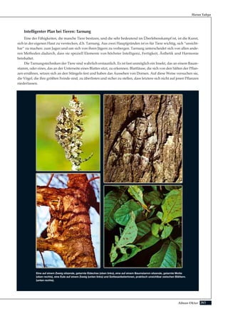 265Adnan Oktar
Intelligenter Plan bei Tieren: Tarnung
Eine der Fähigkeiten, die manche Tiere besitzen, und die sehr bedeutend im Überlebenskampf ist, ist die Kunst,
sich in der eigenen Haut zu verstecken, d.h. Tarnung. Aus zwei Hauptgründen ist es für Tiere wichtig, sich “unsicht-
bar” zu machen: zum Jagen und um sich von ihren Jägern zu verbergen. Tarnung unterscheidet sich von allen ande-
ren Methoden dadurch, dass sie speziell Elemente von höchster Intelligenz, Fertigkeit, Ästhetik und Harmonie
beinhaltet.
Die Tarnungstechniken der Tiere sind wahrlich erstaunlich. Es ist fast unmöglich ein Insekt, das an einem Baum-
stamm, oder eines, das an der Unterseite eines Blattes sitzt, zu erkennen. Blattläuse, die sich von den Säften der Pflan-
zen ernähren, setzen sich an den Stängeln fest und haben das Aussehen von Dornen. Auf diese Weise versuchen sie,
die Vögel, die ihre größten Feinde sind, zu überlisten und sicher zu stellen, dass letztere sich nicht auf jenen Pflanzen
niederlassen.
Harun Yahya
Eine auf einem Zweig sitzende, getarnte Eidechse (oben links), eine auf einem Baumstamm sitzende, getarnte Motte
(oben rechts), eine Eule auf einem Zweig (unten links) und Gottesanbeterinnen, praktisch unsichtbar zwischen Blättern.
(unten rechts).
 