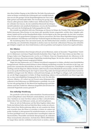 267Adnan Oktar
dass diese leichten Zugang zu den Zellen hat. Die hohe Glucosekonzent-
ration im Körper vermindert den Gefrierpunkt und veranläßt dadurch,
dass nur ein sehr geringer Teil der Körperflüssigkeiten des Tiers in der
Kälte gefriert und Eiskristalle bildet. Die Forschung hat gezeigt, dass
Glucose selbst gefrorene Zellen ernähren kann. Während dieser Perio-
de verhindert die Glucose, die den natürlichen Brennstoff des Körpers
darstellt außerdem viele metallische Reaktionen, wie etwa die Harnstoffsyn-
these, und somit die Erschöpfung der Nahrungsquellen der Zelle.
Wie entsteht nun plötzlich solch eine Übermenge an Glucose im Körper des Frosches? Die Antwort darauf ist
höchst interessant: Diese Kreatur ist mit einem sehr speziellen System ausgestattet, welches diese Aufgabe wahr-
nimmt. Sobald sich Eis auf der Hautoberfläche bildet, wird ein Signal an die Leber gesendet, das die Leber veranlasst,
einen Teil des in ihr gespeicherten Glykogens in Glucose umzusetzen. Die Natur dieser Signalübertragung ist bisher
noch unbekannt. Fünf Minuten nach Erhalt der Nachricht beginnt der Blutzucker stetig zu anzusteigen.186
Die Ausstattung dieses Tiers mit einem System, das den Stoffwechsel total verändert, um alle Bedürfnisse gera-
de rechtzeitig zum erforderlichen Zeitpunkt zu decken, kann nur durch die vollkommene Planung eines allmächti-
gen Schöpfers möglich sein. Kein Zufall könnte je solch ein perfektes und komplexes System hervorgebracht haben.
Der Albatros
Zugvögel beschränken ihren Energieverbrauch auf ein Minimum, indem sie besondere “Flugtechniken” benüt-
zen. In Albatrossen wird dieser Flugstil ebenfalls beobachtet. Diese Vögel, die 92% ihres Lebens auf dem Meer ver-
bringen, haben eine Flügelspannweite von bis zu 3,5 Metern. Eines der Hauptmerkmale der Albatrosse ist ihr
Flugstil: sie können ohne einen einzigen Flügelschlag stundenlang fliegen. Sie tun dies, indem sie mit dem Wind se-
geln, wobei ihre Flügel konstant ausgespreizt bleiben.
Flügel mit einer Spannweite von 3,5 Metern fortwährend ausgespreizt zu halten, erfordert einen beträchtlichen
Energieaufwand. Albatrosse jedoch können in dieser Haltung stundenlang verweilen. Sie sind dazu in der Lage, auf-
grund einer anatomischen Besonderheit, die ihnen vom Zeitpunkt ihres Ausschlüpfens anzueigen ist. Während des
Gleitflugs sind die Flügel des Albatros blockiert, daher braucht er keine Muskelkraft aufzuwenden, und dies wieder-
um ist eine große Erleichterung für den Vogel in seinem Flug, indem der Energieverbrauch durch dieses System be-
trächtlich verringert wird. Der Albatros verbraucht keine Energie, um die Flügel zu schlagen, noch verschwendet er
sie, um die Flügel ausgespreizt zu halten. Er fliegt stundenlang, indem er sich ausschließlich vom Wind tragen läßt,
der zu einer unerschöpflichen Energiequelle für ihn wird. Ein zehn Kilo
schwerer Albatros, z.B. verliert nur ein Prozent seines Körpergewichts,
während er eine Entfernung von 1000 Kilometern zurücklegt, was in der
Tat eine sehr geringe Rate ist. Der Mensch hat Segelflugzeuge und Gleit-
schirme nach dem Vorbild der Albatrosse hergestellt und sich deren fas-
zinierende Flugtechnik zunutze gemacht.187
Eine mühselige Wanderung
Der pazifische Lachs hat das außerordentliche Charaktermerkmal,
zu den Gebirgsflüssen seiner Herkunft zurückzukehren, um dort zu lai-
chen. Nachdem sie einen Teil ihres Lebens im Meer verbracht haben,
kehren diese Tiere zum Süßwasser zurück, um sich fortzupflanzen.
Wenn sie sich im Frühsommer auf ihre Reise begeben, haben diese
Fische eine hellrote Farbe, doch am Ende ihrer Reise werden sie schwarz.
Beim Antritt ihrer Rückwanderung nähern sie sich zunächst der Küste
und versuchen dann die Flüsse zu erreichen, in denen sie sodann mit
großer Ausdauer zu dem genauen Ort zurückschwimmen, wo sie aus ih-
ren Eiern geschlüpft waren. Sie erreichen ihren Ausschlupfort, indem sie
Stromschnellen, Wasserfälle und Deiche überspringend, die reißenden
Flüsse stromaufwärts schwimmen. Am Ende ihrer 3500 bis 4000 Kilome-
ter langen Reise sind die weiblichen Lachse bereit zu laichen, und die
Harun Yahya
 