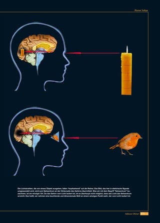 275Adnan Oktar
Harun Yahya
Die Lichtstrahlen, die von einem Objekt ausgehen, fallen "kopfstehend" auf die Retina. Das Bild, das hier in elektrische Signale
umgewandelt wird, wird zum Sehzentrum an der Hinterseite des Gehirns übermittelt. Was wir mit dem Begriff "Sehzentrum" be-
zeichnen, ist ein winziger Ort. Da das Gehirn vom Licht isoliert ist, ist es überhaupt nicht möglich, dass das Licht das Sehzentrum
erreicht. Das heißt, wir nehmen eine leuchtende und dimensionale Welt an einem winzigen Punkt wahr, der vom Licht isoliert ist.
 