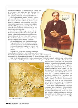 40 Es War Einmal.... Der Darwinismus
darüber in dem Kapitel “Schwierigkeiten der Theorie“, und
er erweiterte sein Buch um das Kapitel “Die
Lückenhaftigkeit der geologischen Urkunden“, das
von Übergangsformen im Fossilienbestand handelt.
Diese beiden Kapitel machten Darwins Problem
offensichtlich. Seine Theorie basierte auf der
Behauptung, die Arten hätten sich in einer langen
Reihe schrittweiser Veränderungen entwickelt.
Wenn das so wäre, müsste es in den geologischen
Schichten Übergangsformen zwischen den Arten
geben; Es gibt jedoch keine Fossilienfunde, die auf
solche Lebewesen hindeuten.
Schließlich war Darwin gezwungen, dieses
Problem an zukünftige Forscher weiterzugeben. Er
dachte, das Problem bestehe im unvollständigen
Fossilienbestand. Er war sich sicher, weitere
Fossilienfunde würden Exemplare zum Vorschein
bringen, die seine Theorie belegen. Er schrieb:
Die Geologie kann nicht jeden dieser fein abgestuften
Vorgänge in der Entwicklung aufdecken, was möglicher-
weise ein offensichtliches und ernsthaftes Problem für die
Evolutionstheorie darstellt. Ich glaube, die Erklärung liegt
in der Unvollständigkeit der geologischen Funde und
Belege. 20
Auf Darwins Vorhersage folgte ein Anstieg der
Ausgrabungen auf der Suche nach den Übergangsformen zur
Vervollständigung des Fossilienbestands. Es gab einige Aufsehen erregende
Funde. Es stellte sich jedoch heraus, dass all die Aufregung unbegründet war.
Einer dieser außergewöhnlichen Funde, entdeckt im Jahr 1860 in der Nähe der deutschen Stadt Solnhofen, war
das Fossil, das als Archäopteryx bezeichnet wurde, die griechische Bezeichnung für “alter Flügel“. Trotz der
Tatsache, dass es sich bei dem Fund offensichtlich
um einen Vogel handelte, wies dieser einige eige-
nartige Merkmale auf, die der Gruppe der
Reptilien zugeordnet wurden. Zähne, ein langer
Schwanz und Klauen an den Flügeln. Eine gute
Gelegenheit für Darwinisten. Thomas Huxley,
einer der eifrigsten Verfechter des Darwinismus,
teilte mit, Archäopteryx sei halb Vogel, halb
Reptil. Die Annahme, seine Flügel seien zum
Fliegen nicht geeignet gewesen, führten zu dem
Schluss, es habe sich um einen primitiven Vogel
gehandelt. Dies sorgte für eine Menge Trubel,
und auf diese Weise entstand der Archäopteryx-
Mythos, der bis ins 20 Jahrhundert dauerte.
Dann stellte sich jedoch heraus, dass es sich
bei diesem Tier nicht um einen primitiven Vogel
handelte. Er war, dank des Aufbaus seines
Skelettes und seiner Federn, in der Lage gewe-
sen, zu fliegen. Seine reptilienartigen Merkmale
finden sich auch bei einigen bereits ausgestorbe-
nen Vogelarten und sogar bei noch lebenden
Arten.
TThhoommaass HHuuxxlleeyy,,
DDaarrwwiinnss lleeiiddeenn--
sscchhaaffttlliicchhsstteerr
AAnnhhäännggeerr
EE ii nn AArrcchhaaeeoopptteerryyxx FFoossssiill
 