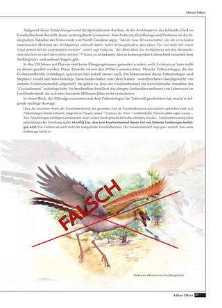 41Adnan Oktar
Aufgrund dieser Entdeckungen sind die Spekulationen darüber, ob der Archäopteryx das fehlende Glied im
Fossilienbestand darstellt, heute weitestgehend verstummt. Alan Feduccia, Ornithologe und Professor an der bi-
ologischen Fakultät der Universität von North Carolina sagte: "Meiste neue Wissenschaftler, die die verschieden
anatomischen Merkmale des Archäopteryx erforscht haben, haben herausgefunden, dass dieses Tier viel mehr mit einem
Vogel gemein hat als ursprünglich erwartet", weiter sagt Feduccia, "die Ähnlichkeit des Archäopteryx mit den theropodis-
chen Sauriern ist stark überschätzt worden".21 Kurz, es ist bekannt, dass es keinen großen Unterschied zwischen dem
Archäopteryx und anderen Vögeln gibt.
In den 150 Jahren seit Darwin sind keine Übergangsformen gefunden worden, auch Archäopteryx kann nicht
zu diesen gezählt werden. Diese Tatsache ist seit den 1970ern unumstritten. Manche Paläontologen, die die
Evolutionstheorie verteidigen, ignorieren dies jedoch immer noch. Die bekanntesten dieser Paläontologen sind
Stephen J. Gould and Niles Eldredge. Diese beiden haben unter dem Namen “unterbrochenes Gleichgewicht“ ein
anderes Evolutionsmodell aufgestellt. Sie geben zu, dass der Fossilienbestand die darwinistische Annahme des
“Gradualismus“ widerlegt habe. Sie beschreiben detailliert das abrupte Auftauchen mehrerer von Lebewesen im
Fossilienbestand, die sich über hunderte Millionen Jahre nicht veränderten.
In einem Buch, das Eldredge zusammen mit dem Paläontologen Ian Tattersall geschrieben hat, macht er fol-
gende wichtige Aussage:
Dass die einzelnen Arten der Fossilienwährend der gesamten Zeit im Fossilienbestand unverändert geblieben sind, war
Paläontologen bereits bekannt, lange bevor Darwin seinen “Ursprung der Arten“ veröffentlichte. Darwin selbst sagte voraus...,
dass Paläontologen künftiger Generationen diese Lücken durch gründliche Suche schließen würden... Einhundertzwanzig Jahre
paläontologischer Forschung später ist völlig klar, dass kein Fossilienbestand diesen Teil von Darwins Vorhersagen bestäti-
gen wird. Das Problem ist auch nicht der mangelhafte Fossilienbestand. Der Fossilienbestand zeigt ganz einfach, dass seine
Vorhersage falsch ist.
Harun Yahya
RReekkoonnssttrruukkttiioonn vvoonn AArrcchhääoopptteerryyxx
 