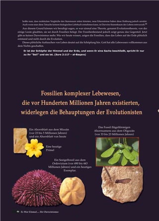 46 Es War Einmal.... Der Darwinismus
hoffte man, dass molekulare Vergleiche den Stammaum retten könnten, neue Erkenntnisse haben diese Hoffnung jedoch zerstört.
Auch wenn man diese Tatsache keinem biologischen Lehrbuch entnehmen kann, ist Darwins Stammbaum des Lebens entwurzelt.29
Aus diesem Grund können wir beruhigt sagen, es war einmal eine Theorie, genannt Evolutionstheorie, von der
einige Leute glaubten, sie sei durch Fossilien belegt. Der Fossilienbestand jedoch zeigt genau das Gegenteil. Jetzt
gibt es keinen Darwinismus mehr. Wie wir heute wissen, zeigen die Fossilien, dass das Leben auf der Erde plötzlich
entstand und nicht durch die Evolution.
Dieses plötzliche Auftauchen von Leben deutet auf die Schöpfung hin. Gott hat alle Lebewesen vollkommen aus
dem Nichts geschaffen.
Er ist der Schöpfer der Himmel und der Erde, und wenn Er eine Sache beschließt, spricht Er nur
zu ihr “Sei!“ und sie ist. (Sure 2:117 – al-Baqara)
Ein Seeigelfossil aus dem
Ordovizium (vor 490 bis 443
Millionen Jahren) und ein heutiges
Exemplar.
Ein Ahornblatt aus dem Miozän
(vor 23 bis 5 Millionen Jahren)
und ein Ahornblatt von heute
Eine heutige
Primel
Das Fossil flügelförmigen
Ahornsamens aus dem Oligozän
(vor 33 bis 23 Millionen Jahren)
 
