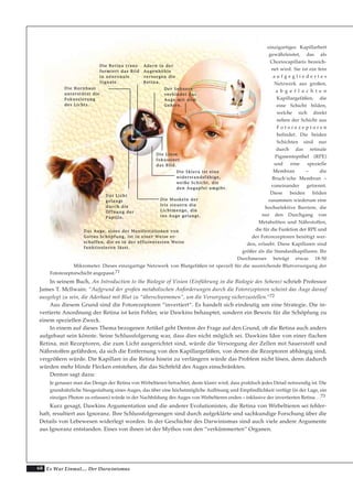 68 Es War Einmal.... Der Darwinismus
einzigartiges Kapillarbett
gewährleistet, das als
Choriocapillaris bezeich-
net wird. Sie ist ein fein
a u f g e g l i e d e r t e s
Netzwerk aus großen,
a b g e f l a c h t e n
Kapillargefäßen, die
eine Schicht bilden,
welche sich direkt
neben der Schicht aus
F o t o r e z e p t o r e n
befindet. Die beiden
Schichten sind nur
durch das retinale
Pigmentepithel (RPE)
und eine spezielle
Membran – die
Bruch'sche Membran –
voneinander getrennt.
Diese beiden bilden
zusammen wiederum eine
hochselektive Barriere, die
nur den Durchgang von
Metaboliten und Nährstoffen,
die für die Funktion der RPE und
der Fotorezeptoren benötigt wer-
den, erlaubt. Diese Kapillaren sind
größer als die Standardkapillaren. Ihr
Durchmesser beträgt etwas 18-50
Mikrometer. Dieses einzigartige Netzwerk von Blutgefäßen ist speziell für die ausreichende Blutversorgung der
Fotorezeptorschicht angepasst.71
In seinem Buch, An Introduction to the Biologie of Vision (Einführung in die Biologie des Sehens) schrieb Professor
James T. Mcllwain: “Aufgrund der großen metabolischen Anforderungen durch die Fotorezeptoren scheint das Auge darauf
ausgelegt zu sein, die Aderhaut mit Blut zu “überschwemmen“, um die Versorgung sicherzustellen.“72
Aus diesem Grund sind die Fotorezeptoren “invertiert“. Es handelt sich eindeutig um eine Strategie. Die in-
vertierte Anordnung der Retina ist kein Fehler, wie Dawkins behauptet, sondern ein Beweis für die Schöpfung zu
einem speziellen Zweck.
In einem auf dieses Thema bezogenen Artikel geht Denton der Frage auf den Grund, ob die Retina auch anders
aufgebaut sein könnte. Seine Schlussfolgerung war, dass dies nicht möglich sei. Dawkins Idee von einer flachen
Retina, mit Rezeptoren, die zum Licht ausgerichtet sind, würde die Versorgung der Zellen mit Sauerstoff und
Nährstoffen gefährden, da sich die Entfernung von den Kapillargefäßen, von denen die Rezeptoren abhängig sind,
vergrößern würde. Die Kapillare in die Retina hinein zu verlängern würde das Problem nicht lösen, denn dadurch
würden mehr blinde Flecken entstehen, die das Sichtfeld des Auges einschränkten.
Denton sagt dazu:
Je genauer man das Design der Retina von Wirbeltieren betrachtet, desto klarer wird, dass praktisch jedes Detail notwendig ist. Die
grundsätzliche Neugestaltung eines Auges, das über eine höchstmögliche Auflösung und Empfindlichkeit verfügt (in der Lage, ein
einziges Photon zu erfassen) würde in der Nachbildung des Auges von Wirbeltieren enden – inklusive der invertierten Retina. . .73
Kurz gesagt, Dawkins Argumentation und die anderer Evolutionisten, die Retina von Wirbeltieren sei fehler-
haft, resultiert aus Ignoranz. Ihre Schlussfolgerungen sind durch aufgeklärte und sachkundige Forschung über die
Details von Lebewesen widerlegt worden. In der Geschichte des Darwinismus sind auch viele andere Argumente
aus Ignoranz entstanden. Eines von ihnen ist der Mythos von den “verkümmerten“ Organen.
DDiiee HHoorrnnhhaauutt
uunntteerrssttüüttzztt ddiiee
FFookkuussssiieerruunngg
ddeess LLiicchhttss..
DDiiee RReettiinnaa ttrraannss--
ffoorrmmiieerrtt ddaass BBiilldd
iinn nneeuurroonnaallee
SSiiggnnaallee..
AAddeerrnn iinn ddeerr
AAuuggeennhhööhhllee
vveerrssoorrggeenn ddiiee
RReettiinnaa..
DDeerr SSeehhnneerrvv
vveerrbbiinnddeett ddaass
AAuuggee mmiitt ddeemm
GGeehhiirrnn..
DDiiee LLiinnssee
ffookkuussssiieerrtt
ddaass BBiilldd..
DDaass LLiicchhtt
ggeellaannggtt
dduurrcchh ddiiee
ÖÖffffnnuunngg ddeerr
PPuuppiillllee..
DDiiee MMuusskkeellnn ddeerr
IIrriiss sstteeuueerrnn ddiiee
LLiicchhttmmeennggee,, ddiiee
iinnss AAuuggee ggeellaannggtt..
DDiiee SSkklleerraa iisstt eeiinnee
wwiiddeerrssttaannddssffäähhiiggee,,
wweeiißßee SScchhiicchhtt,, ddiiee
ddeenn AAuuggaappffeell uummggiibbtt..
DDaass AAuuggee,, eeiinneess ddeerr MMaanniiffeessttaattiioonneenn vvoonn
GGootttteess SScchhööppffuunngg,, iisstt iinn eeiinneerr WWeeiissee eerr--
sscchhaaffffeenn,, ddiiee eess iinn ddeerr eeffffiizziieenntteesstteenn WWeeiissee
ffuunnkkttiioonniieerreenn lläässsstt..
 
