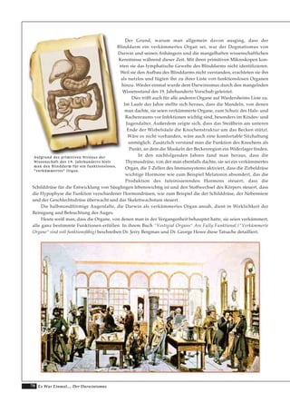 70 Es War Einmal.... Der Darwinismus
Der Grund, warum man allgemein davon ausging, dass der
Blinddarm ein verkümmertes Organ sei, war der Dogmatismus von
Darwin und seinen Anhängern und die mangelhaften wissenschaftlichen
Kenntnisse während dieser Zeit. Mit ihren primitiven Mikroskopen kon-
nten sie das lymphatische Gewebe des Blinddarms nicht identifizieren.
Weil sie den Aufbau des Blinddarms nicht verstanden, erachteten sie ihn
als nutzlos und fügten ihn zu ihrer Liste von funktionslosen Organen
hinzu. Wieder einmal wurde dem Darwinismus durch den mangelnden
Wissensstand des 19. Jahrhunderts Vorschub geleistet.
Dies trifft auch für alle anderen Organe auf Wiedersheims Liste zu.
Im Laufe der Jahre stellte sich heraus, dass die Mandeln, von denen
man dachte, sie seien verkümmerte Organe, zum Schutz des Hals- und
Rachenraums vor Infektionen wichtig sind, besonders im Kindes- und
Jugendalter. Außerdem zeigte sich, dass das Steißbein am unteren
Ende der Wirbelsäule die Knochenstruktur um das Becken stützt.
Wäre es nicht vorhanden, wäre auch eine komfortable Sitzhaltung
unmöglich. Zusätzlich verstand man die Funktion des Knochens als
Punkt, an dem die Muskeln der Beckenregion ein Widerlager finden.
In den nachfolgenden Jahren fand man heraus, dass die
Thymusdrüse, von der man ebenfalls dachte, sie sei ein verkümmertes
Organ, die T-Zellen des Immunsystems aktiviert, dass die Zirbeldrüse
wichtige Hormone wie zum Beispiel Melatonin absondert, das die
Produktion des luteinisierenden Hormons steuert, dass die
Schilddrüse für die Entwicklung von Säuglingen lebenswichtig ist und den Stoffwechsel des Körpers steuert, dass
die Hypophyse die Funktion verschiedener Hormondrüsen, wie zum Beispiel die der Schilddrüse, der Nebenniere
und der Geschlechtsdrüse überwacht und das Skelettwachstum steuert.
Die halbmondförmige Augenfalte, die Darwin als verkümmertes Organ ansah, dient in Wirklichkeit der
Reinigung und Befeuchtung des Auges.
Heute weiß man, dass die Organe, von denen man in der Vergangenheit behauptet hatte, sie seien verkümmert,
alle ganz bestimmte Funktionen erfüllen. In ihrem Buch “Vestigial Organs“ Are Fully Funktional (“Verkümmerte
Organe“ sind voll funktionsfähig) beschreiben Dr. Jerry Bergman und Dr. George Howe diese Tatsache detailliert.
AAuuffggrruunndd ddeess pprriimmiittiivveenn NNiivveeaauuss ddeerr
WWiisssseennsscchhaafftt ddeess 1199.. JJaahhrrhhuunnddeerrttss hhiieelltt
mmaann ddeenn BBlliinnddddaarrmm ffüürr eeiinn ffuunnkkttiioonnsslloosseess,,
““vveerrkküümmmmeerrtteess““ OOrrggaann..
 