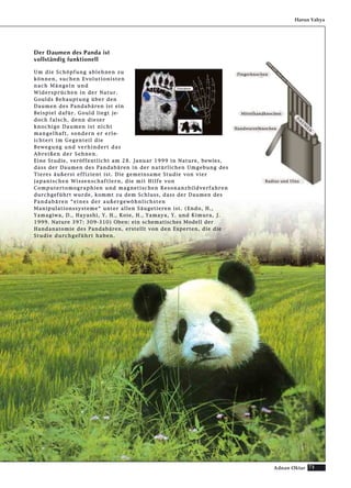 73Adnan Oktar
Harun Yahya
Der Daumen des Panda ist
vollständig funktionell
UUmm ddiiee SScchhööppffuunngg aabblleehhnneenn zzuu
kköönnnneenn,, ssuucchheenn EEvvoolluuttiioonniisstteenn
nnaacchh MMäännggeellnn uunndd
WWiiddeerrsspprrüücchheenn iinn ddeerr NNaattuurr..
GGoouullddss BBeehhaauuppttuunngg üübbeerr ddeenn
DDaauummeenn ddeess PPaannddaabbäärreenn iisstt eeiinn
BBeeiissppiieell ddaaffüürr.. GGoouulldd lliieeggtt jjee--
ddoocchh ffaallsscchh,, ddeennnn ddiieesseerr
kknnoocchhiiggee DDaauummeenn iisstt nniicchhtt
mmaannggeellhhaafftt,, ssoonnddeerrnn eerr eerrllee--
iicchhtteerrtt iimm GGeeggeenntteeiill ddiiee
BBeewweegguunngg uunndd vveerrhhiinnddeerrtt ddaass
AAbbrreeiißßeenn ddeerr SSeehhnneenn..
EEiinnee SSttuuddiiee,, vveerrööffffeennttlliicchhtt aamm 2288.. JJaannuuaarr 11999999 iinn NNaattuurree,, bbeewwiieess,,
ddaassss ddeerr DDaauummeenn ddeess PPaannddaabbäärreenn iinn ddeerr nnaattüürrlliicchheenn UUmmggeebbuunngg ddeess
TTiieerreess ääuußßeerrsstt eeffffiizziieenntt iisstt.. DDiiee ggeemmeeiinnssaammee SSttuuddiiee vvoonn vviieerr
jjaappaanniisscchheenn WWiisssseennsscchhaaffttlleerrnn,, ddiiee mmiitt HHiillffee vvoonn
CCoommppuutteerrttoommooggrraapphhiieenn uunndd mmaaggnneettiisscchheenn RReessoonnaannzzbbiillddvveerrffaahhrreenn
dduurrcchhggeeffüühhrrtt wwuurrddee,, kkoommmmtt zzuu ddeemm SScchhlluussss,, ddaassss ddeerr DDaauummeenn ddeess
PPaannddaabbäärreenn ““eeiinneess ddeerr aauußßeerrggeewwööhhnnlliicchhsstteenn
MMaanniippuullaattiioonnssssyysstteemmee““ uunntteerr aalllleenn SSääuuggeettiieerreenn iisstt.. ((EEnnddoo,, HH..,,
YYaammaaggiiwwaa,, DD..,, HHaayyaasshhii,, YY.. HH..,, KKooiiee,, HH..,, YYaammaayyaa,, YY.. uunndd KKiimmuurraa,, JJ..
11999999.. NNaattuurree 339977:: 330099--331100)) OObbeenn:: eeiinn sscchheemmaattiisscchheess MMooddeellll ddeerr
HHaannddaannaattoommiiee ddeess PPaannddaabbäärreenn,, eerrsstteelllltt vvoonn ddeenn EExxppeerrtteenn,, ddiiee ddiiee
SSttuuddiiee dduurrcchhggeeffüühhrrtt hhaabbeenn..
FFiinnggeerrkknnoocchheenn
MMiitttteellhhaannddkknnoocchheenn
HHaannddwwuurrzzeellkknnoocchheenn
RRaaddiiuuss uunndd UUllnnaa
DD
AA
UU
MM
EE
NN
DDaauummeenn
 
