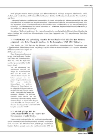 Doch jüngste Studien haben gezeigt, dass Heterochromatin wichtige Aufgaben übernimmt. Emile
Zuckerkandl, vom Institute of Molekular Medical Sciences (Institut für Molekularmedizinische Wissenschaften)
sagt dazu:
… Wenn man Nukleotide (DNS Basenpaare) zusammenfügt, die einzeln funktionslos sind, bekommt man am Ende eine Reihe
von Nukleotiden, die zusammen eine Aufgabe übernehmen. Ein Beispiel sind Nukleotide, die zum Chromatin gehören. Trotz
aller Argumente, die für das Heterochromatin als Müll sprechen, lassen viele Menschen, die sich mit diesem Fachgebiet
beschäftigen, keinen Zweifel daran, dass es nicht funktionslos ist. …Nukleotide mögen einzeln nutzlos sein, im Kollektiv je-
doch sind sie von äußerster Bedeutung.86
Eine dieser “Kollektivfunktionen“ des Heterochromatins ist zum Beispiel die Meioseteilung. Gleichzeitig
zeigen Studien an künstlichen Chromosomen, dass diese Segmente der DNS verschiedene Aufgaben
übernehmen.87
3. Forscher haben eine Verbindung zwischen der nichtkodierenden DNS und dem Zellkern
aufgezeigt – eine Entwicklung, die das Ende für das Konzept der “Müll-DNS“ bedeutet.
Eine Studie von 1999, bei der die Genome von einzelligen fotosynthetischen Organismen, den
Cryptomonaden, untersucht wurden, hat gezeigt, dass eukariotische nichtkodierende DNS (auch als sekundäre
DNS bezeichnet) eine Aufgabe im
Zellkern übernimmt.
Diese Organismen kommen
in den verschiedensten Größen
vor.88 Aber das Verhältnis zwis-
chen der Größe des Zellkerns
und der gesamten Zelle bleibt
immer gleich.
Aus der Betrachtung des
Verhältnisses zwischen der
Menge an nichtkodierender
DNS und der Größe des
Zellkerns haben Forscher den
Schluss gezogen, dass eine
größere Menge nichtkodierender
DNS eine strukturelle
Notwendigkeit in größeren
Zellkernen ist. Dieses Ergebnis war
ein Rückschlag für Konzepte wie das
der Müll-DNS und Dawkins “egois-
tischer“ DNS, welche die Tatsache der
Schöpfung ablehnen. Die Forscher
schlossen ihren Bericht mit der
Feststellung:Außerdem widerlegt der mo-
mentane Mangel an signifikanten Mengen
sekundärer DNS von Nukleomorphen …die
Theorien über “egoistische“ und “Müll“-DNS
bezüglich sekundärer DNS.89
4. Es hat sich gezeigt, dass die
nichtkodierende DNS für die Struktur der
Chromosomen erforderlich ist.
Eine weitere wichtige Rolle der nichtkodierenden DNS
wurde während der letzten Jahre deutlich: Sie ist für die Struktur
und Funktion der Chromosomen unbedingt erforderlich.
Studien haben gezeigt, dass die nichtkodierende DNS die
Harun Yahya
77Adnan Oktar
 