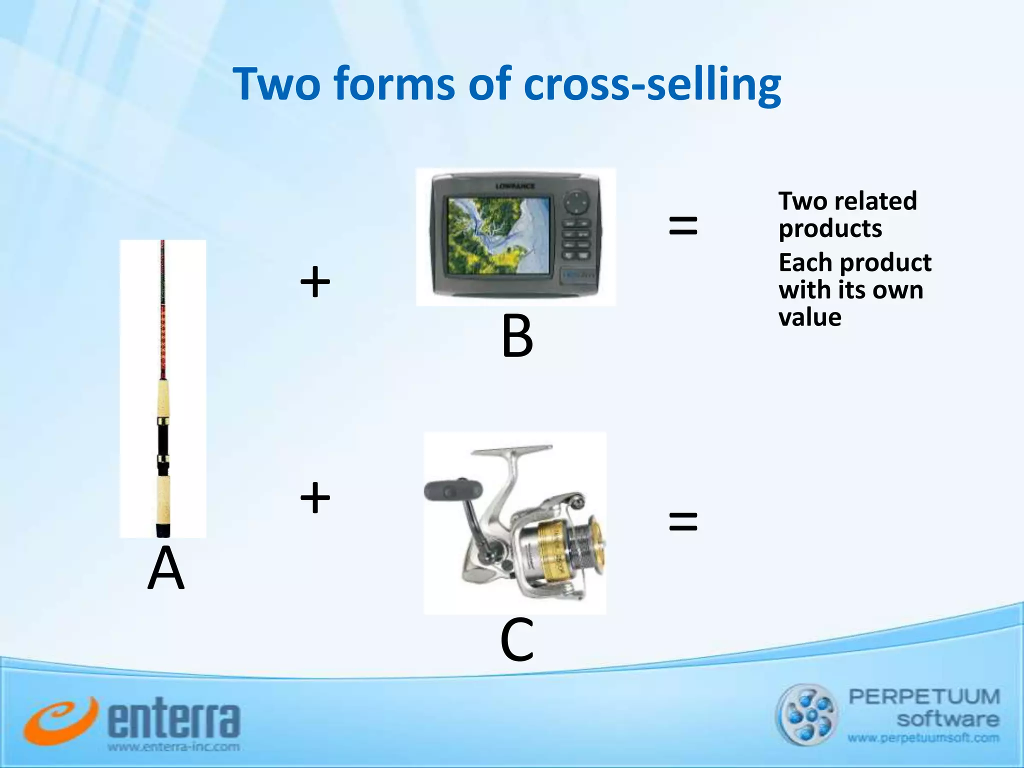  Unable to satisfy customer’s requests for custom features Brief Custom Development Vendor (CDV) portraitDirect sales and active selling