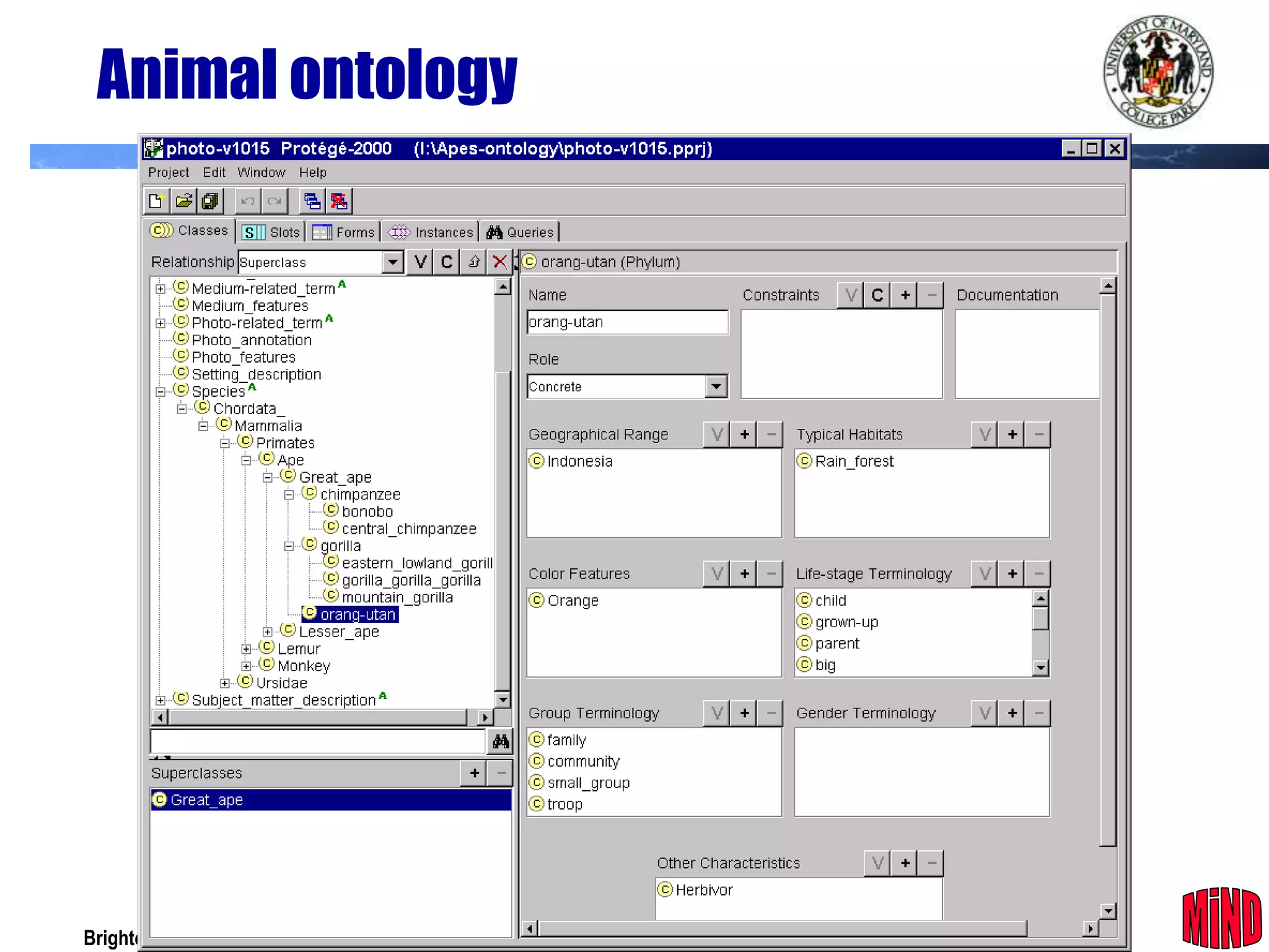 Animal ontology