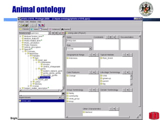 Animal ontology