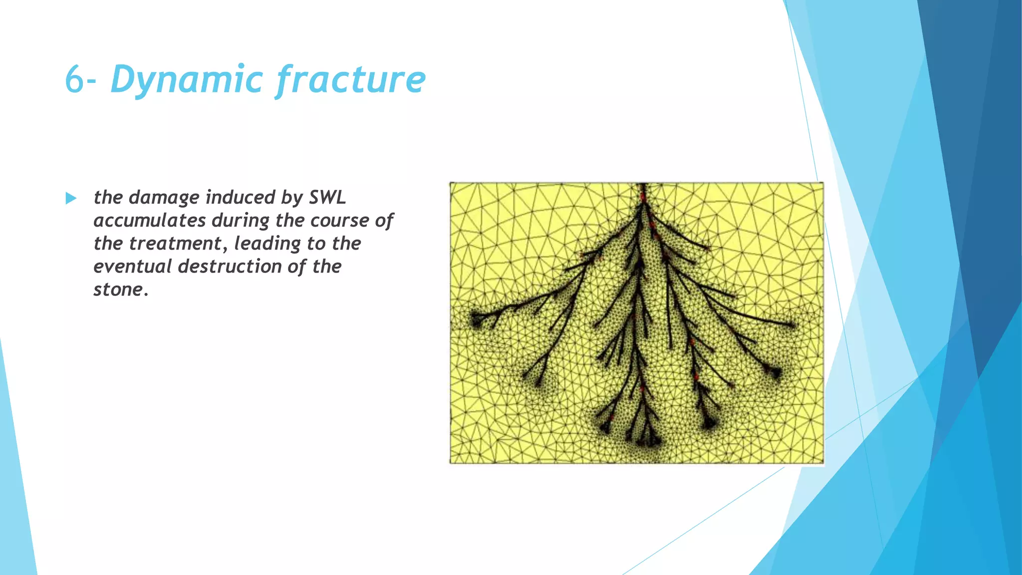 6- Dynamic fracture
 the damage induced by SWL
accumulates during the course of
the treatment, leading to the
eventual destruction of the
stone.
 