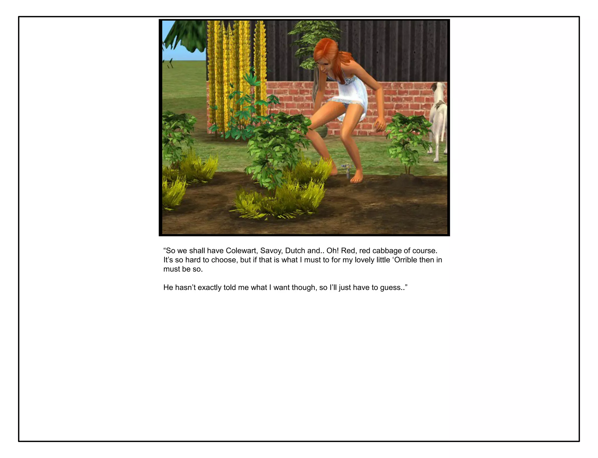 “So we shall have Colewart, Savoy, Dutch and.. Oh! Red, red cabbage of course.
It‟s so hard to choose, but if that is what I must to for my lovely little „Orrible then in
must be so.

He hasn‟t exactly told me what I want though, so I‟ll just have to guess..”
 