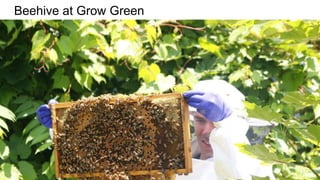 Beehive at Grow Green
 